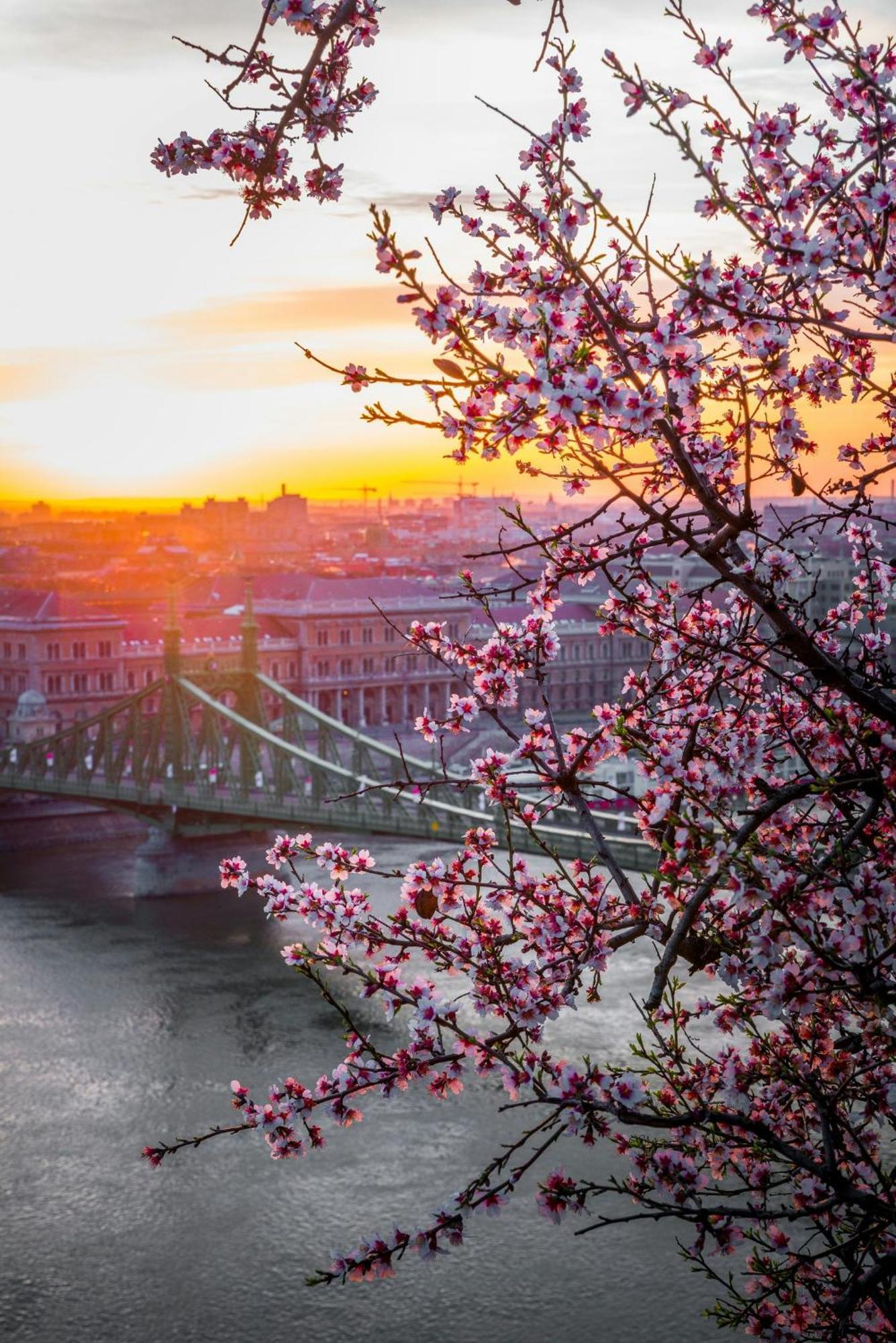 D35 - Chic Boutique Apartments By Bqa Budapest Bagian luar foto